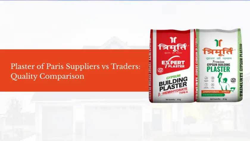 Plaster of Paris Suppliers vs Traders Quality Comparison