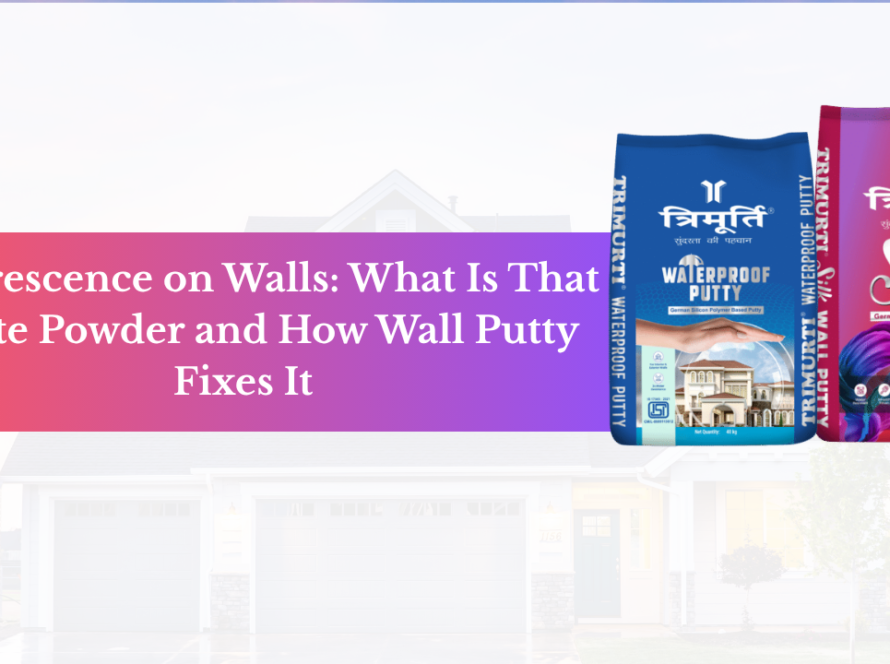 wall putty manufacturer in India