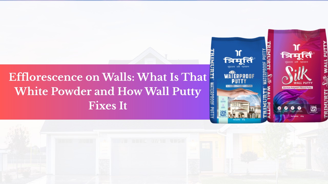 wall putty manufacturer in India